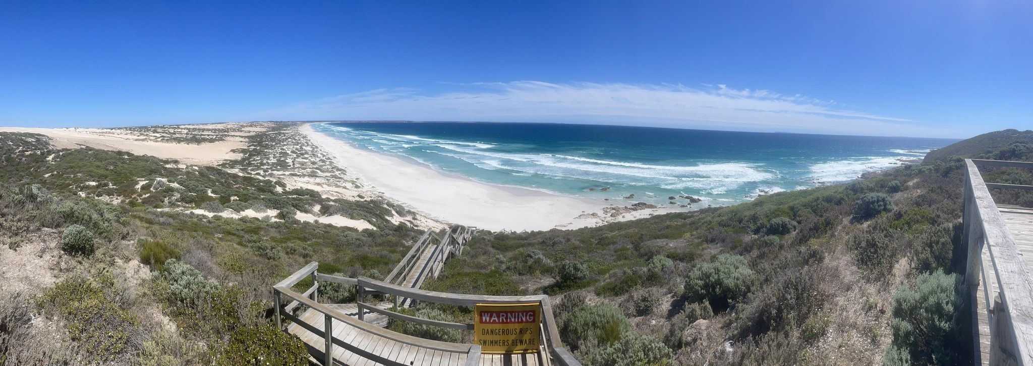 Image of Daly Heads