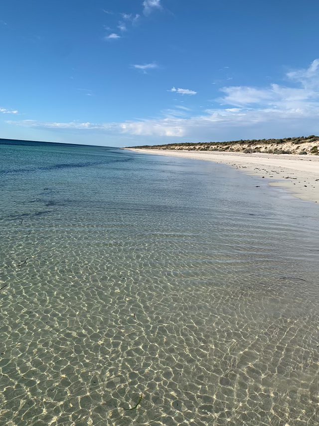 Image of Parsons Beach 