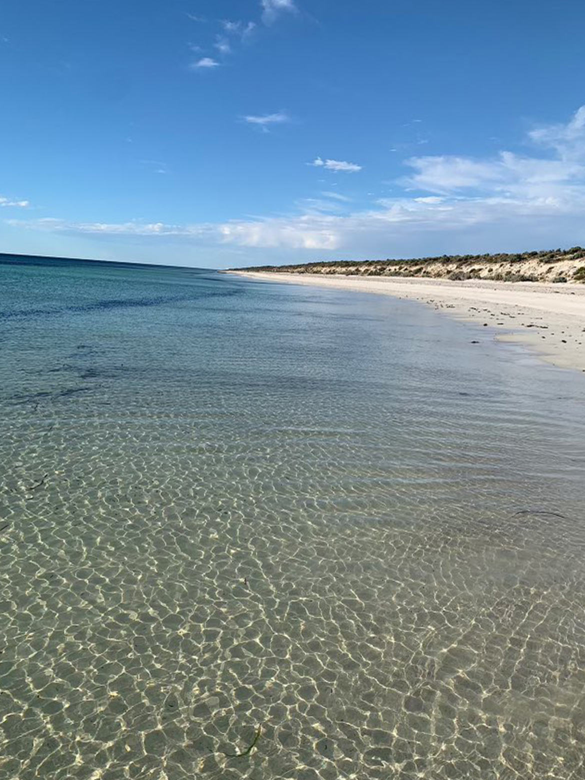 Image of Parsons Beach 